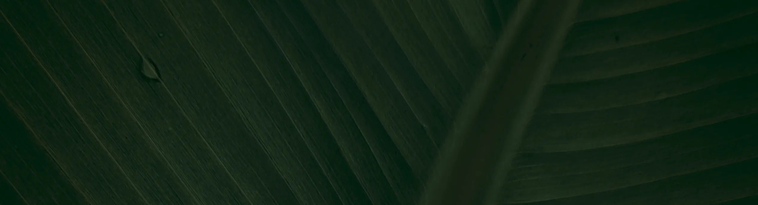 Arranque Retractil para motor B&S